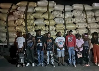 Ejército descubre a 10 haitianos indocumentados ocultos en una carga de arroz en Montecristi