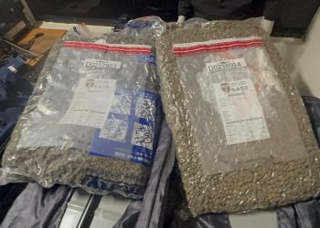 DNCD interviene maleta con 28 libras de marihuana en el AILA