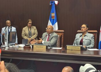Pese a pataleos de la oposición, diputados aprueban modificaciones al Código Penal