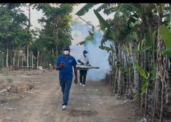 DPS Sánchez Ramírez realiza fumigación en Guardianon del Distrito Municipal de Zambrana