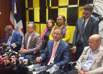 Idenia Doñé asume la vocería del bloque de diputados del PLD