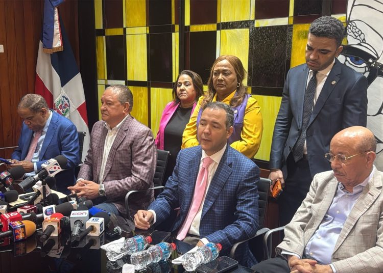Idenia Doñé asume la vocería del bloque de diputados del PLD
