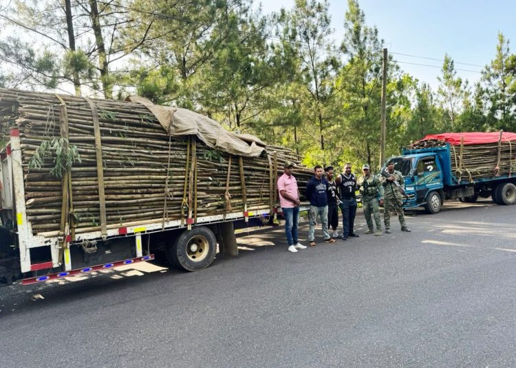 Ejército incautan cargamento de madera sin documentación legal en Santiago