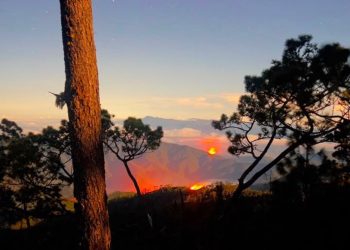Helicóptero moviliza brigadistas para combatir incendio forestal en el Parque Nacional Armando Bermúdez