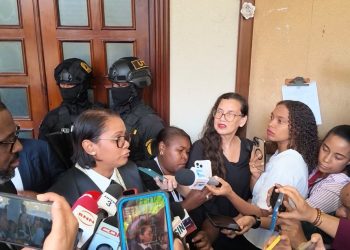 Titular de la Pepca desmiente acuerdo entre Santiago Hazim y el Ministerio Público en caso SeNaSa