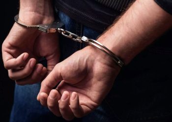 Arrestado dos semanas un periodista opositor georgiano por insultar a autoridades en redes