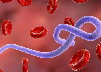 La OMS alerta de que el ébola se expande en RDC y se desconoce su «verdadera magnitud»