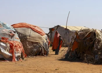 ONU: El hambre afecta a 645 millones de personas en el mundo, aunque se redujo en 2025