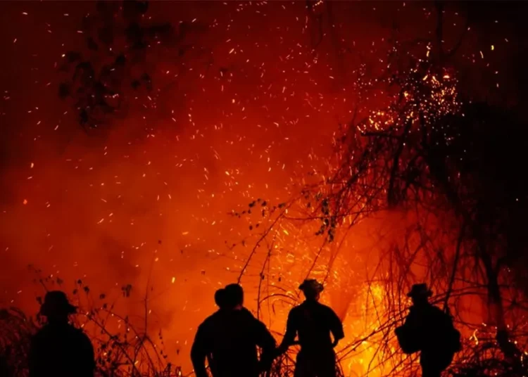 De la Espriella crea grupo élite para perseguir a responsables de incendios en Colombia
