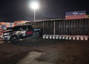 DNCD incauta 303 paquetes de presunta cocaína ocultos en el piso de un contenedor en Caucedo