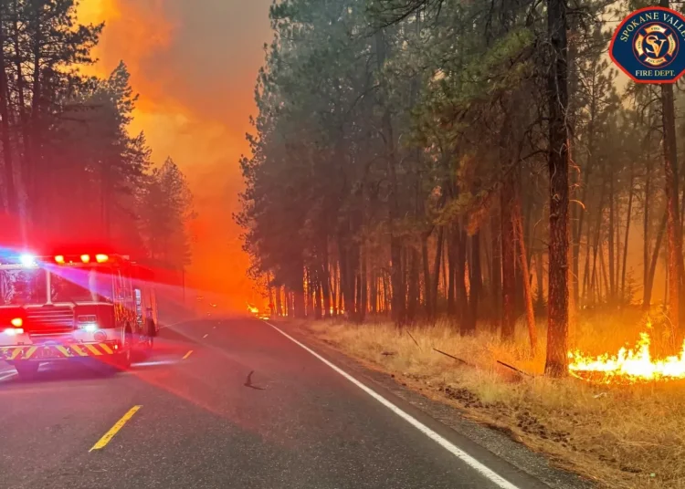 Estados Unidos declara la emergencia para combatir los incendios sin control en el noroeste