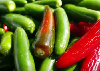 EE. UU. investiga brote de salmonela asociado a jalapeños importados de México