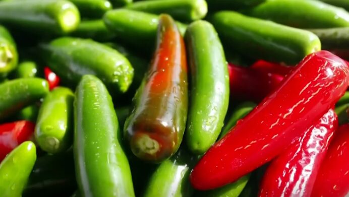 EE. UU. investiga brote de salmonela asociado a jalapeños importados de México