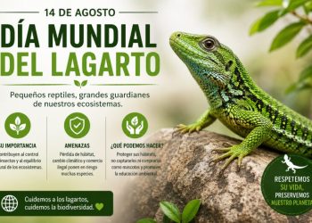 Día Mundial del Lagarto: una fecha para promover su conservación
