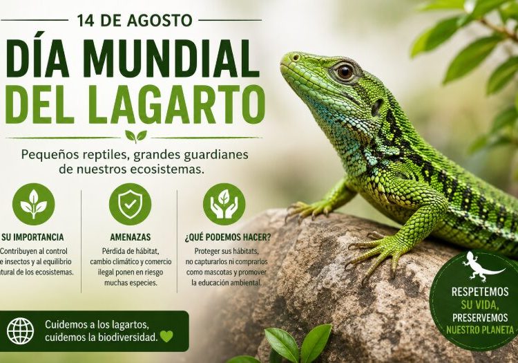 Día Mundial del Lagarto: una fecha para promover su conservación