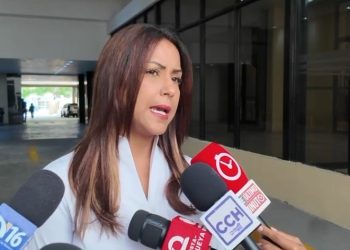 Diputados cuestionan altas facturas y apagones pese a Gobierno descartar alza de tarifa