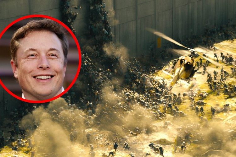 Elon Musk se burla de la crisis en Ceuta con una escena de la película ‘Guerra Mundial Z’