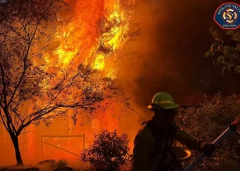 Estados Unidos en máximo nivel de alerta por incendios forestales ante 94 grandes focos activos
