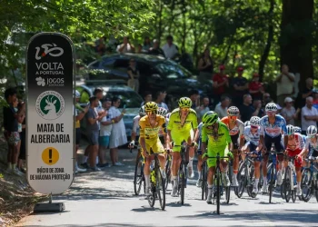 Muere a los 19 años el ciclista británico Finlay Tarling tras accidente en la Volta a Portugal