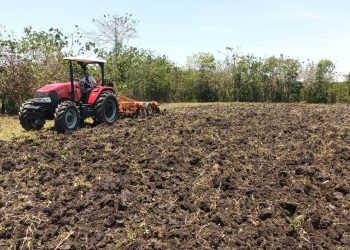 Agricultura presenta Programa Nacional de Mecanización ante escasez de mano de obra