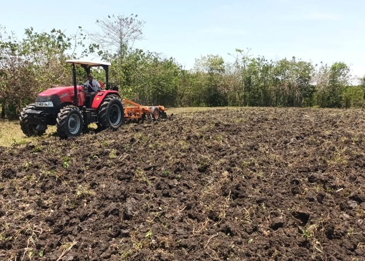 Agricultura presenta Programa Nacional de Mecanización ante escasez de mano de obra