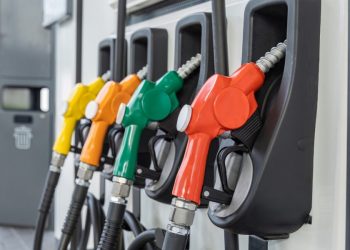 Gobierno congela los combustibles esta semana