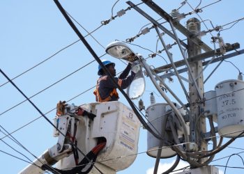 Edesur instala, sustituye y normaliza casi 10,000 luminarias en 12 demarcaciones
