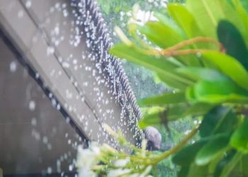 Vaguada y onda tropical provocarán aguaceros este lunes; persiste el intenso calor