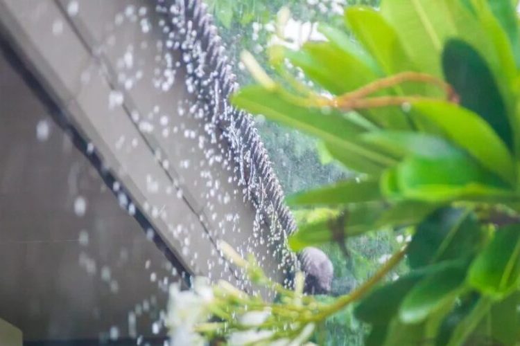 Vaguada y onda tropical provocarán aguaceros este lunes; persiste el intenso calor