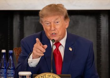Congresista apoyado por Trump y un exrepublicano, los aspirantes a reemplazar a DeSantis