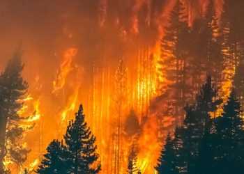 Incendios forestales azotan Europa: decenas de heridos y miles de evacuados