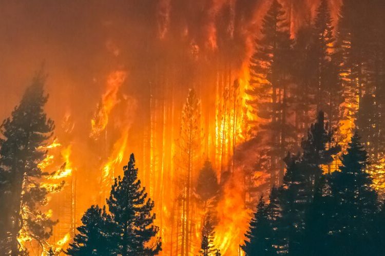 Incendios forestales azotan Europa: decenas de heridos y miles de evacuados