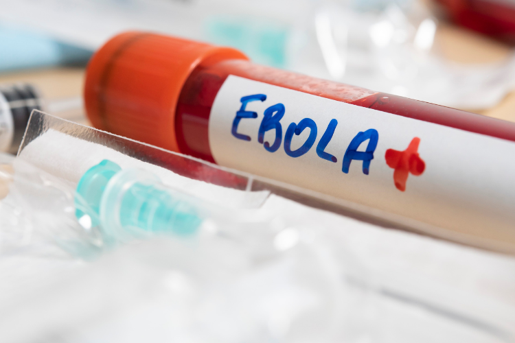 Epidemia de ébola cubre un territorio más grande que Francia y donde no hay liquidez