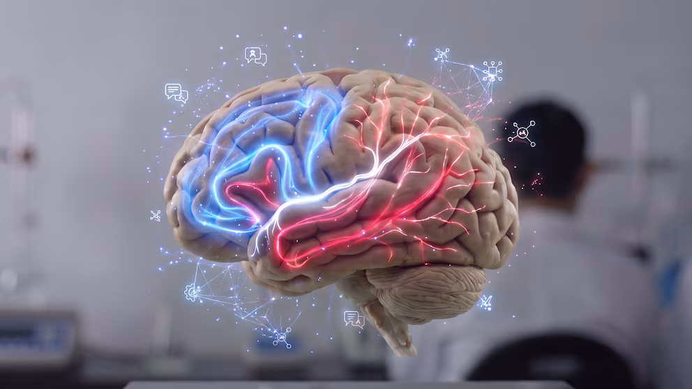 Cómo saber si tu cerebro envejece bien o demasiado rápido