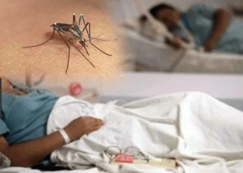 Dengue suma 11 casos en una semana y llega a 213 contagios en 2026