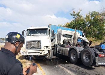 Dos cabezotes se deslizan en la Autovía del Este, próximo a la Cueva de las Maravillas