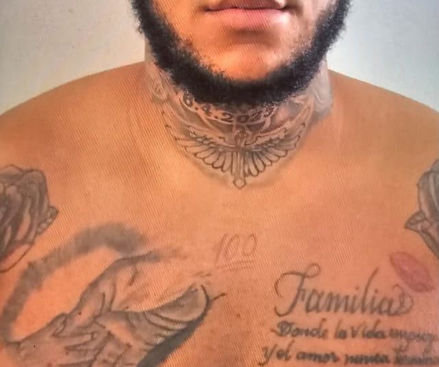 Tolentino publica primera foto de “Macho” tras ser apresado en Jamaica por muerte de recolector de basura en Santiago