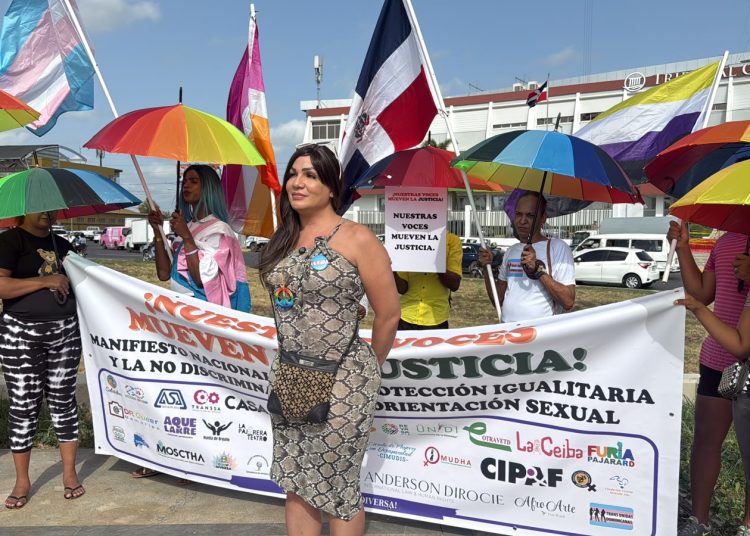 Organizaciones LGBTIQ+ exigen al TC incluir orientación sexual en el Código Penal