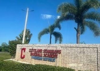 Prospecto dominicano de MLB es suspendido por fraude de identidad y edad
