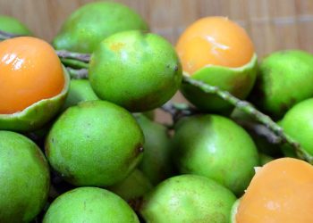 Muere niña de tres años tras asfixiarse con semilla de limoncillo en Elías Piña