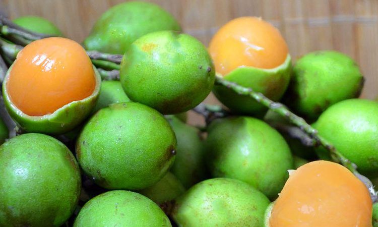 Muere niña de tres años tras asfixiarse con semilla de limoncillo en Elías Piña