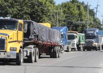 930 patanas mensuales dejan en dominicana productos para Haití