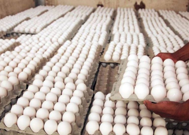 RD rompió con Cuba en pleno auge de la exportación de huevos