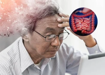¿Puede el intestino influir en el Alzheimer? Un estudio busca la respuesta