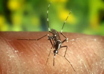 Brasil registra el menor número de casos de malaria en casi 50 años