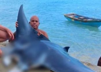 Detienen a hombre por captura ilegal de una mantarraya en Las Terrenas