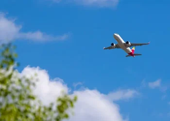 Mueren dos personas al estrellarse una avioneta en Florida