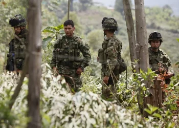 Juez ordena al Gobierno de Colombia suspender bombardeos si hay menores en zonas de grupos armados