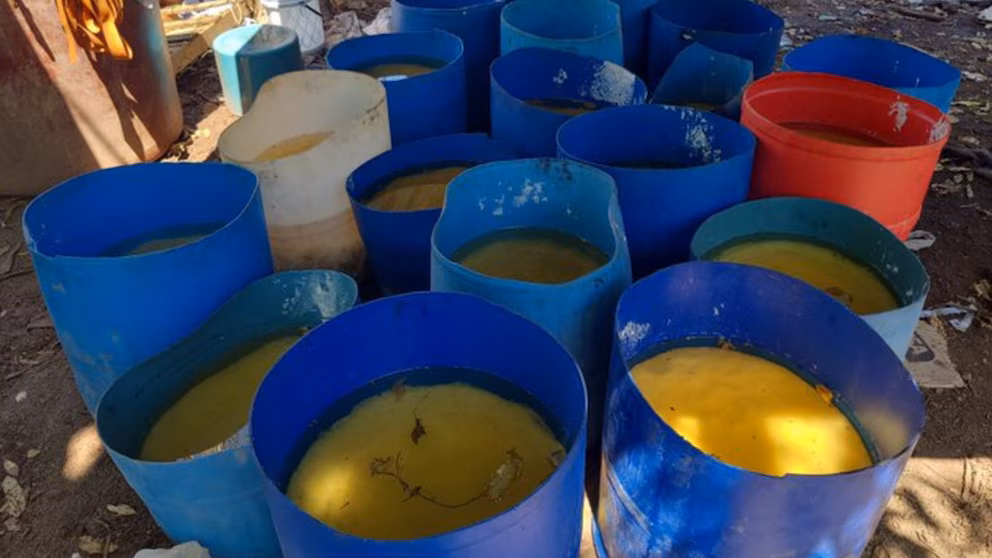 Decomisaron casi 17 toneladas de metanfetamina en Sinaloa equivalente a 347 millones de dólares