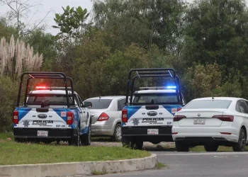 Sheinbaum lamenta asesinato de músico de Camilo Séptimo y ofrece apoyo federal
